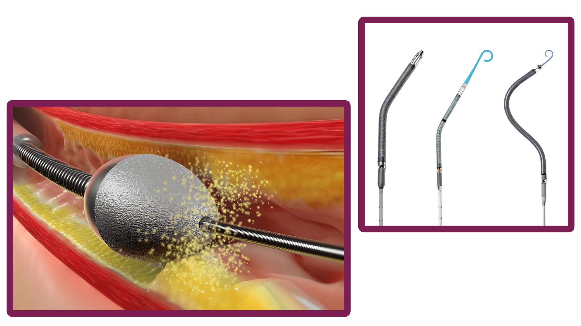 Cardiology Education